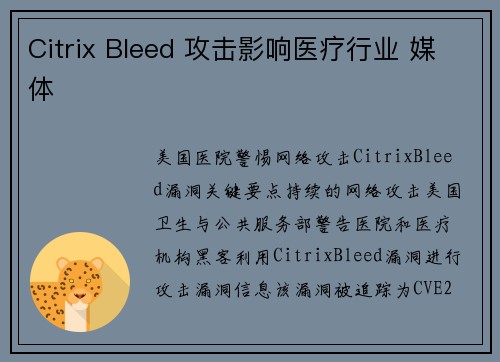 Citrix Bleed 攻击影响医疗行业 媒体