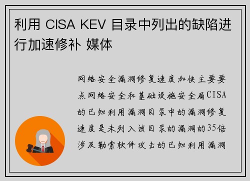 利用 CISA KEV 目录中列出的缺陷进行加速修补 媒体